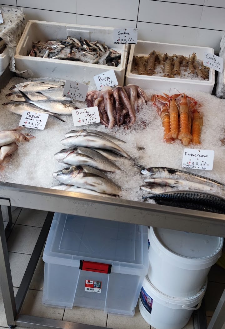 1001 POISSONS 2